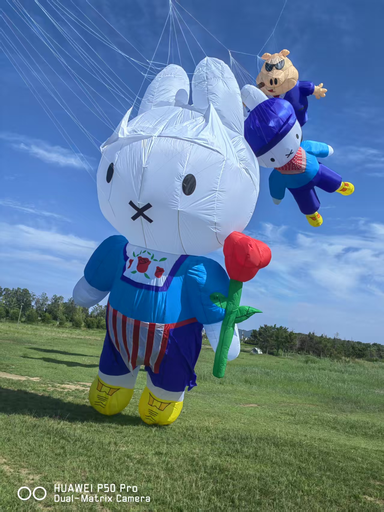 铜陵市儿童风筝定制风筝加工 - 价格